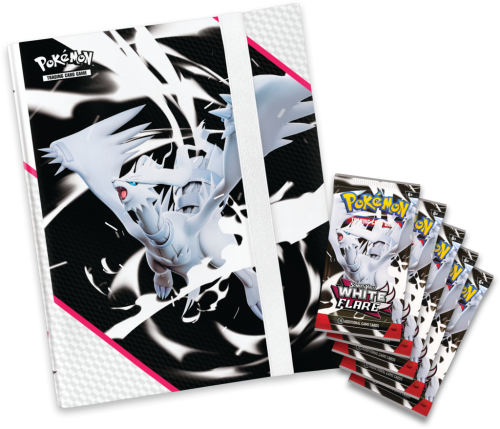 P10707_RSV10pt5_3D_PIGS_Binder_Collection_Grouped_Component_EN-1024x879-e0c913e.png