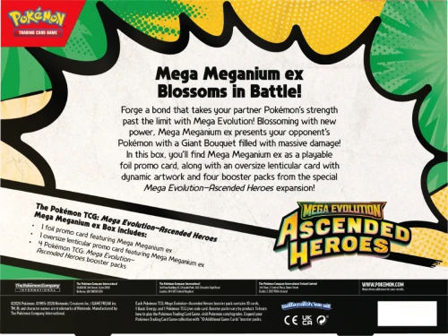 P11436_ME02pt5_3D_Mega_ex_Box_MMeganium_Back_INT_EN-1400x1052-0a844e4.png